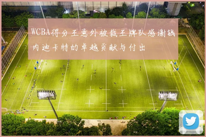 WCBA得分王意外被裁王牌队感谢钱内迪卡特的卓越贡献与付出
